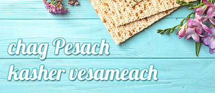 Pesach 8